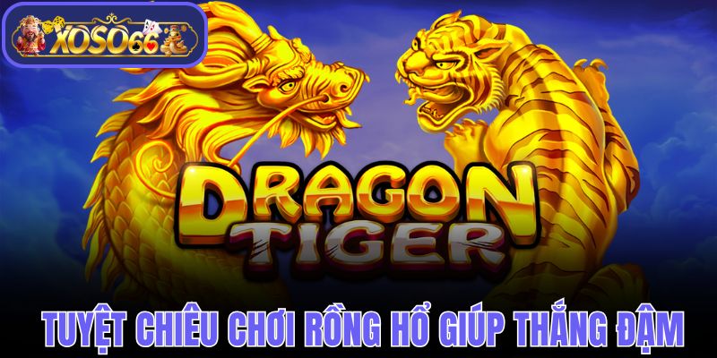 Bật mí 3+ tuyệt chiêu chơi Rồng Hổ giúp thắng đậm 99%