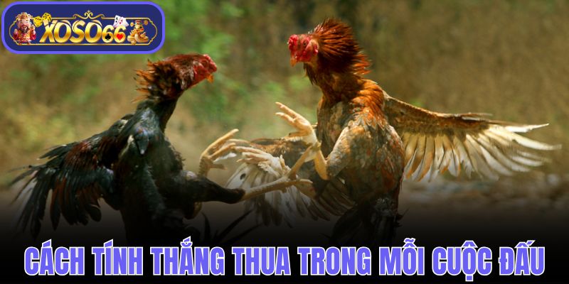Cách tính năng thua trong mỗi cuộc đấu
