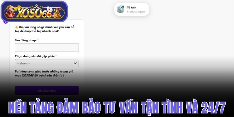 Nền tảng đảm bảo dịch vụ tư vấn tận tình và 24/7
