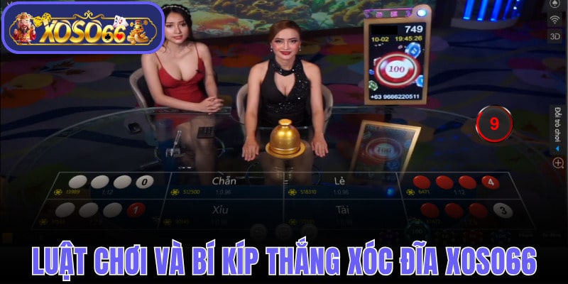 Xóc Đĩa Xoso66 - Luật Chơi Và Bí Quyết Giúp Bạn Thắng Lớn